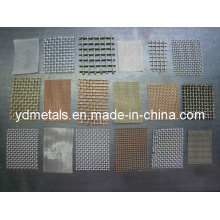 Stainless Steel Wire Mesh/ Galvanized Wire Mesh